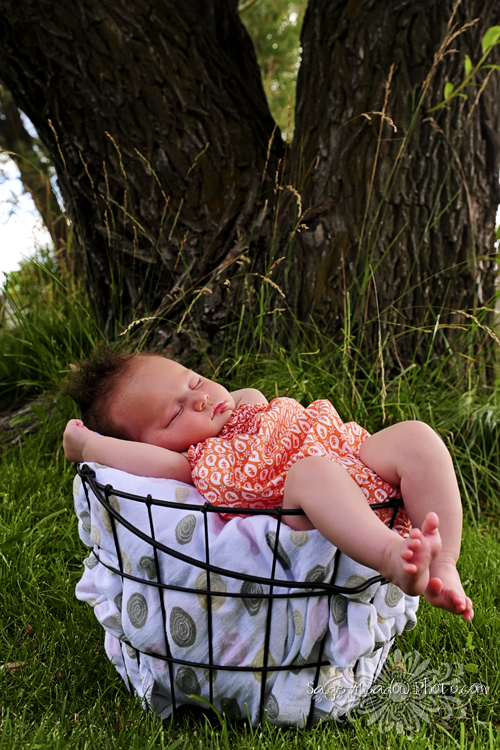 Baby Asleep in a Basket