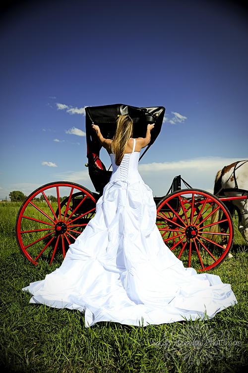 Back of Wedding Dress