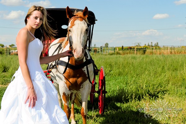Bride and Carriage