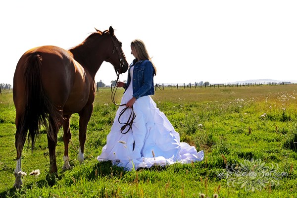 Bride and Horse